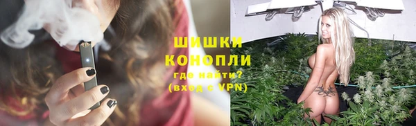 прущие грибы Каменск-Шахтинский