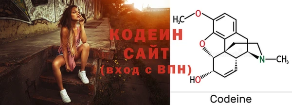 прущие грибы Каменск-Шахтинский