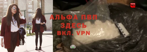прущие грибы Каменск-Шахтинский