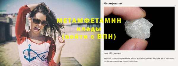 прущие грибы Каменск-Шахтинский