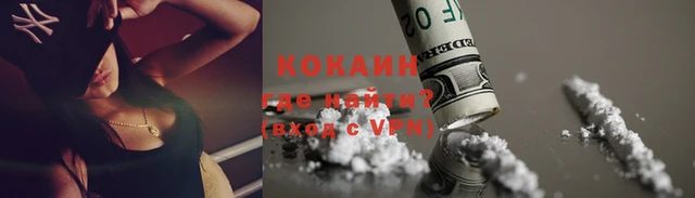 прущие грибы Каменск-Шахтинский