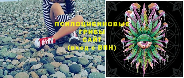 дживик Каменногорск