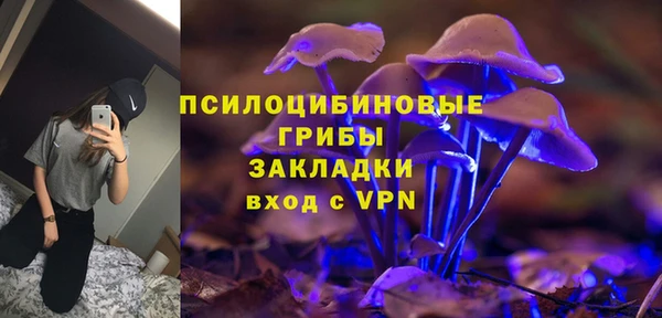 дживик Каменногорск