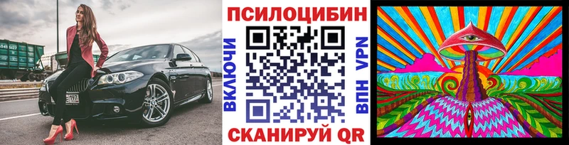 купить   Ковылкино  Псилоцибиновые грибы мухоморы 