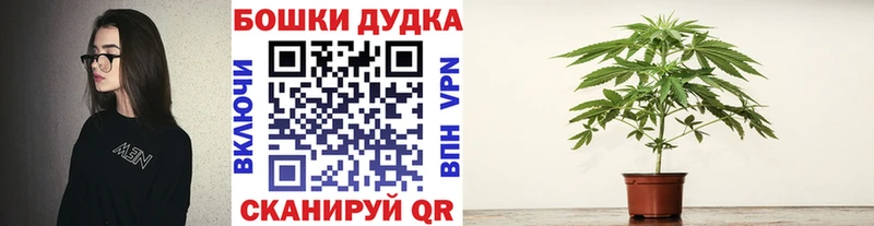 гидра ТОР  Ковылкино  Каннабис планчик  купить наркотики сайты 